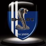 كهربائي سيارات