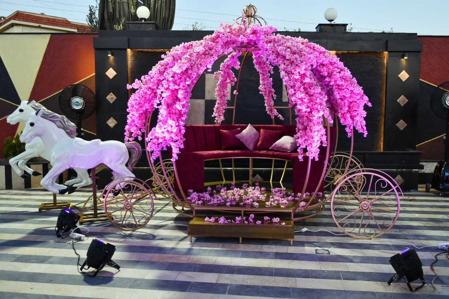 صورة 7